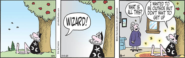 Wizard of Id