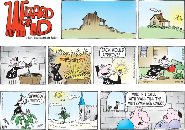 Wizard of Id